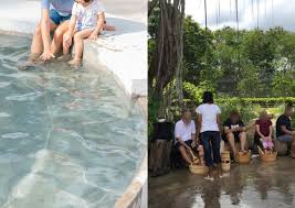 The hot spring was first discovered in 1909 by a merchant of. Ashamed Of Being Singaporean Blogger Highlights Bad Behaviour At Sembawang Hot Spring Park Singapore News Asiaone