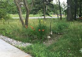 In these instances, an underground drainage system may help dry out the area. How Can I Prevent Erosion And Runoff In My Yard Soils Matter Get The Scoop