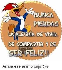 Resultado De Imagen Para Nunca Pierdas La Alegria De Vivir De Compartir De Ser Feliz Chistes De Buenos Dias Alegria De Vivir Frases De Felicidad