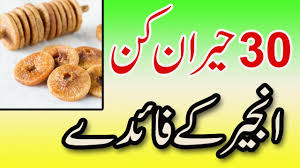 30 Hairan Kun Anjeer Ke Fayde In Hindi Urdu Anjeer Benefits Of Figue Hairstyles For Medium Length Hair Easy Food Gummy Candy