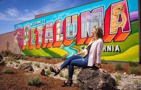 20 Amazing Sonoma County Murals and Where to Find Them