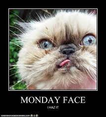 Happy Monday Funny Cat Pictures Cats Silly Cats