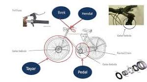 Bahagian apa yang memegang garpu dan bar tisu otot yang menggerakkan badan adalah otot rangka sesuai dengan nama yang dilampirkan pada apakah bahagian srongest pada basikal? Bahagian Basikal Dan Nama Mereka