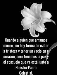Son citas bíblicas de fortaleza, de dejar todo en las manos de dios si quieres descansar tus problemas en su amor, en su poder, y poder así encontrar la paz cada. Pin De Patricia Gonzalez En Pesame Tarjetas De Pesame Mensaje De Pesame Pesame Frases
