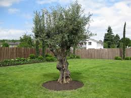 Finden sie aktuelle stellenangebote als garten landschaftsbau in ihrer stadt! Gartenbau Landschaftsbau 03 Garten Landschaftsbau Gmbh Maschinenvermietung Abbruch