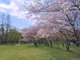 秋ヶ瀬公園/埼玉県/BBQ/さいたま市/バーベキュー/レンタル/手ぶら/配達/紅葉/花見