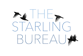 The starling is a very common bird in our towns, cities and gardens throughout the uk. The Starling Bureau