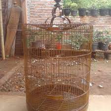 Untuk burung kecil, bisa buat sangkar jingjing, bahanya pun sangat mudah di dapat. Gagasan Untuk Cara Membuat Sangkar Bambu Murai Ide Buat Kamu