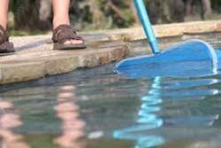 28 Ways To Use Dawn Dish Soap That Will Make Your Life Easier Pool Cleaning Pool Maintenance Saltwater Pool