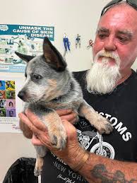 The year that was,,,Teddy and Paddy,,,,,me carrying