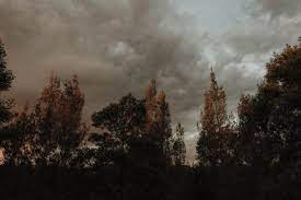 Aesthetics digital wallpaper, vaporwave, kanji, chinese characters. Aesthetics Grunge Vintage Retro Tumblr Sky Anture Landscape Trees 5k Wallpaper H Aesthetic Desktop Wallpaper Aesthetic Wallpapers Vintage Landscape