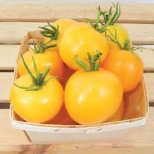 Maybe you would like to learn more about one of these? Low Acid Tomatoes Seeds Urban Farmer