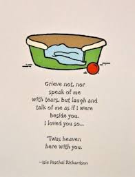 My Heart Aches For My Dobes At The Bridge Dog Loss Quotes Pet Loss Quotes Pet Loss Grief