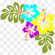 5 out of 5 stars. Free Hawaiian Flowers Png Png Transparent Images Pikpng