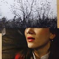 The Captive by Fiona King Foster