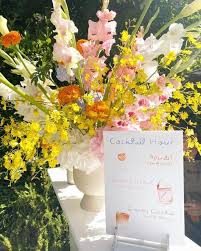 Sarah Vesely (sarahvesely)