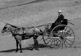 Horse and Buggy: The Primary Means of ...