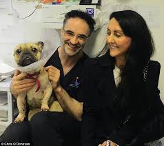 Noel fitzpatrick had a promising update (picture: On The Furry Frontline With Doctor Do A Lot What Happened When Liz Jones Met Tv S Supervet Daily Mail Online