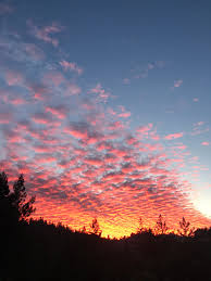 Jack Hulse (@jackhulse1)