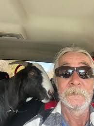 Looking to purchase some kids to raise as packers. This will be our first  go around and we were initially interested in finding Alpines but are  struggling to find any within a