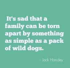 Check spelling or type a new query. Deep Thoughts Work Jack Handy Quotes Deep Thoughts By Jack Handy Disneyland Youtube Dogtrainingobedienceschool Com