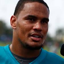 Dolphins Training Camp 2013: Day 4 Recap