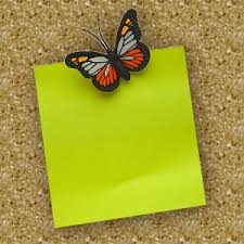 Find & download free graphic resources for cork board. Top 10 Ways To Dress Up Your Boring Corkboard Howstuffworks