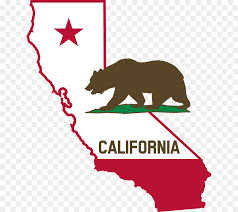 Check spelling or type a new query. California Bear