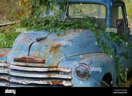 Image result for Pontchartrain Green 1952 Dodge Truck