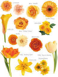 People named alyssa are known to be loving, optimistic, and energetic. Flower Names By Color Hayley S Wedding Tips 101