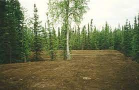 This septic system design article series lists and describes all of the types of septic systems unfortunately she is on top of a peninsula so there isn't room because after a deck, it is all downhill to. Specialty Excavating On Alaska S Kenai Peninsula