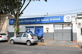 images?q=tbn:ANd9GcRmsUHGNeyZs15DEC0kPMEMqeiN7FOzdjYw9A&s