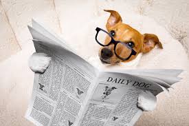 Include yourself in the joke. 45 Funny Animal Jokes Best Jokes About Animalsbest Life
