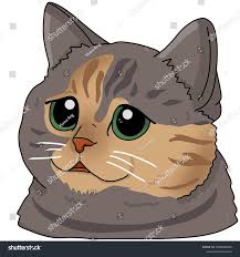 Image result for lolcats