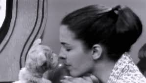 Family Film Charts The Remarkable Rise of “Mister Roger's Neighborhood”