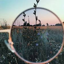 Interesting Images Tumblr Photography Aesthetic Photography Artsy Photos