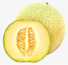 Gambar tanaman melon ini adalah gambar hasil penanaman yang pernah saya lakukan. Melon Png Images Transparent Melon Image Download Pngitem
