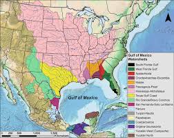 Seafood and fish is better freshly cleaned and prepared, so knowing how to properly prepare fish will help next, dig out the blood vessels alongside the spine. Coastal Habitats Of The Gulf Of Mexico Springerlink