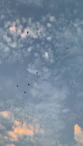 Maybe you would like to learn more about one of these? 17 Ø®Ù„ÙÙŠØ§Øª ØºÙŠÙˆÙ… Ideas Sky Aesthetic Aesthetic Wallpapers Black Aesthetic Wallpaper