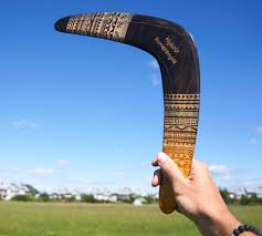 Image result for boomerang