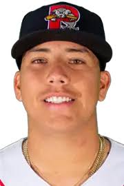 Bryan Mata minor league baseball statistics
