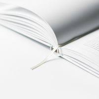 archivio notizie febbraio 2025 - professione Architetto