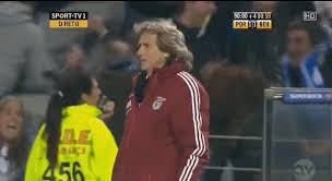 Wyświetl osobiste portfolio fotograficzne w pexels →. Jorge Jesus Gif Sportige