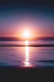 We have 32+ amazing background pictures carefully picked by our community. Sunset Wallpapers Free Hd Download 500 Hq Unsplash