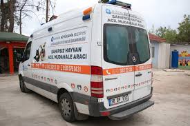 Bakima Muhtac Hayvanlara Ambulans Hizmeti