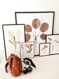 Pressed flowers in large books for 2. How To Press Botanicals Collective Gen
