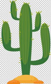 Kumpulan gambar tentang gambar tanaman kaktus kartun, klik untuk melihat koleksi gambar lain di kibrispdr.org. Cactaceae Cactus In The Desert Euclidean Png Cactus In The Desert Cactus Vector Cactus Watercolor Creative Market Tree Illustration Cactus Cactus Vector