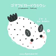 Japan Lover Me Photo Cute Animal Drawings Kawaii Japan Bunny Sea Slug