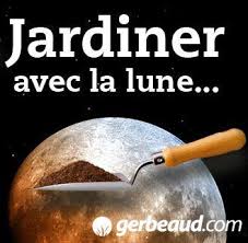 Calendrier Lunaire Novembre 2018 Jardinez En Fonction De La Lune Decouvrez Les Travaux D Calendrier Lunaire Calendrier Lunaire Jardin Calendrier Jardinage