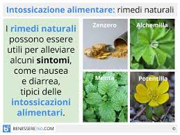 La ciguatera è una forma di intossicazione alimentare causata da pesci spesso all'apice delle rete trofica come cernie, barracuda, murene ed altri pesci tropicali. Intossicazione Alimentare Cosa Fare Tipi Sintomi E Rimedi Naturali